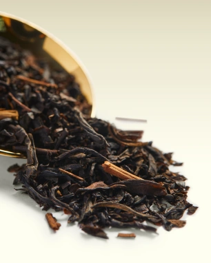 картинка Черный чай TWG Tea 1837 BLACK TEA (Черный чай с нотками фруктов и цветов), туба (100 гр) от интернет магазина