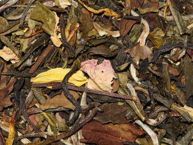 картинка Зеленый чай TWG Tea Destiny Tea / Судьба, туба (80 гр) от интернет магазина