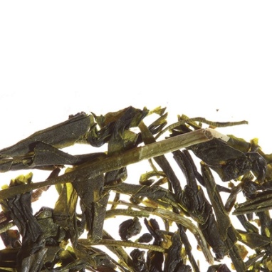 картинка Зеленый чай Althaus Sencha Senpai / Сенча Сенпай (250 гр) от интернет магазина